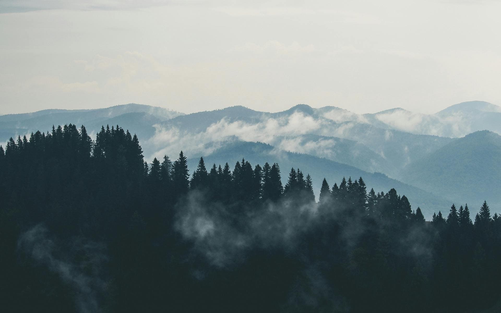 mountains